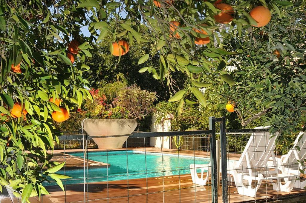 איתן בקתות עץ Eitan Wood Cabins Resort Sede Eli'ezer Exterior photo